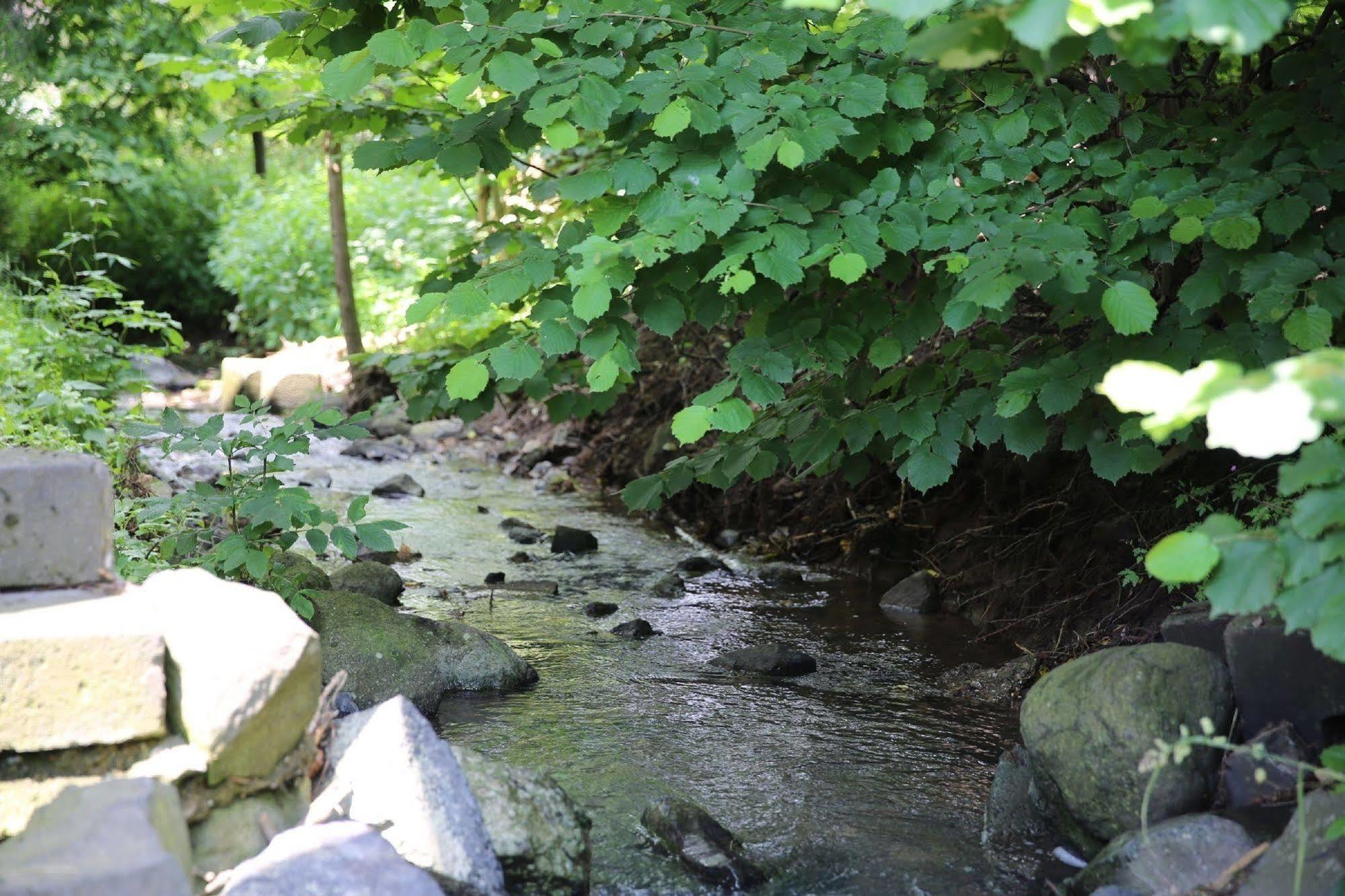 Landhotel Villa Moritz Garni Oberahr Luaran gambar